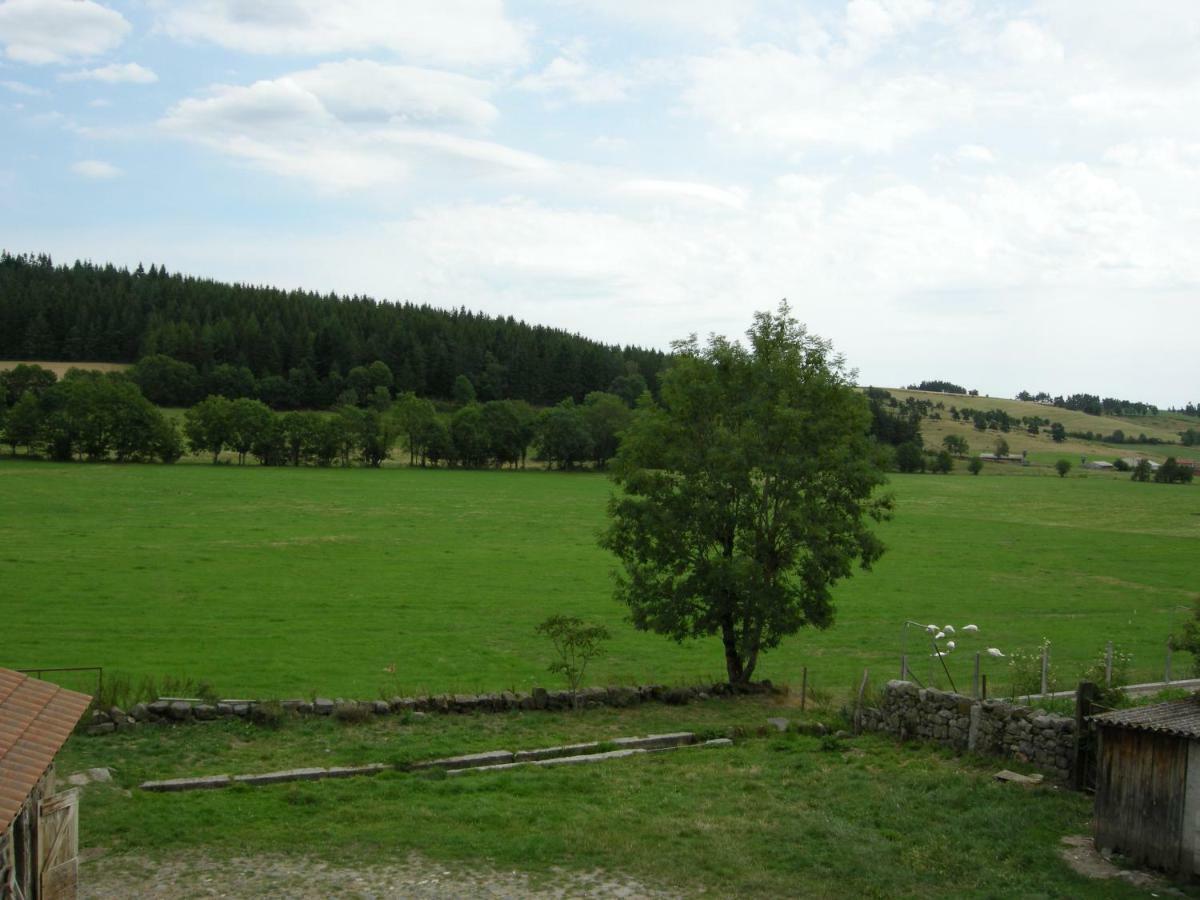 Gite A La Ferme Le Malzieu-Ville Exterior photo